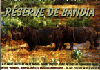 Venez voir les animaux d'afrique